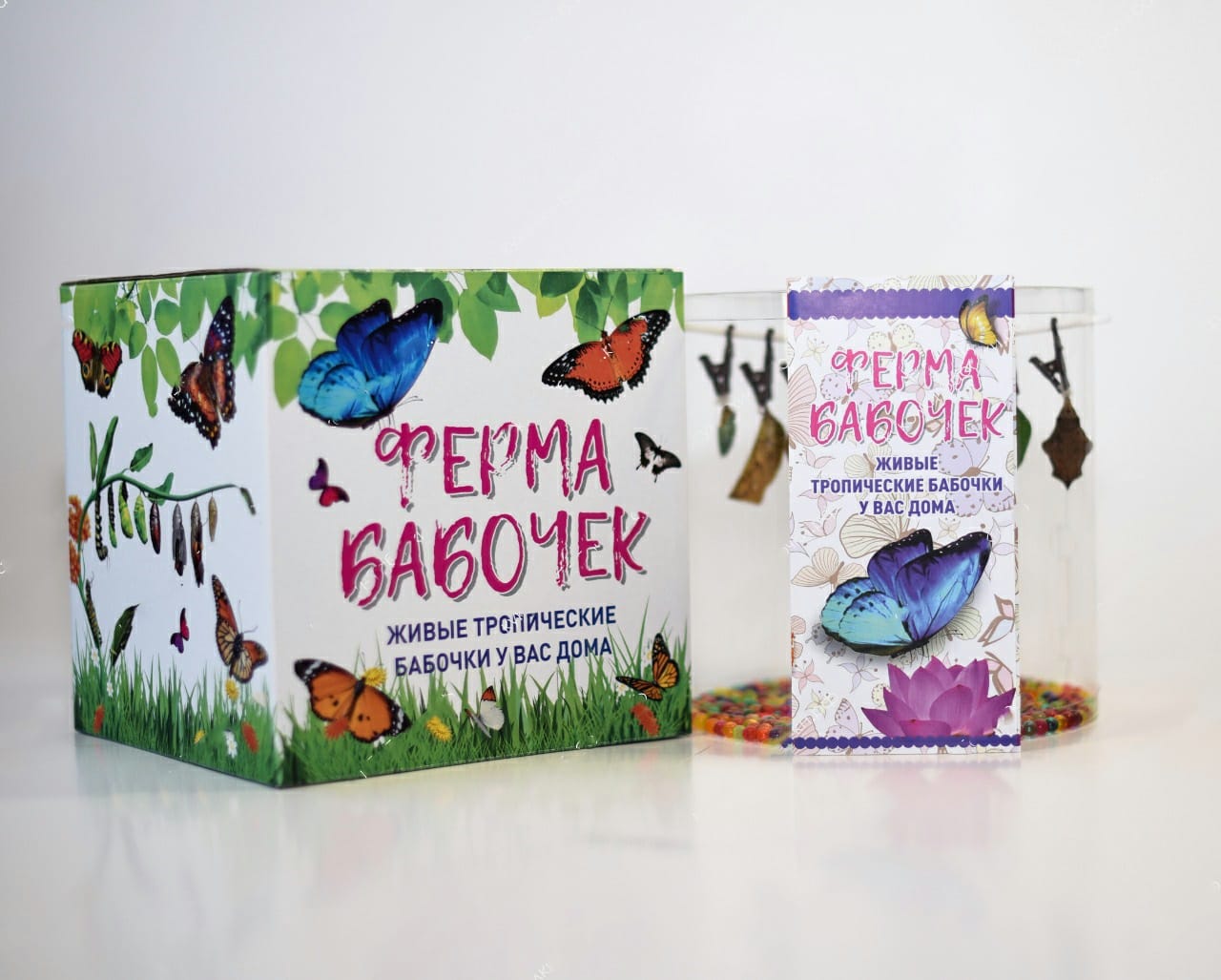 Стандартная Ферма для бабочек + 5 куколок